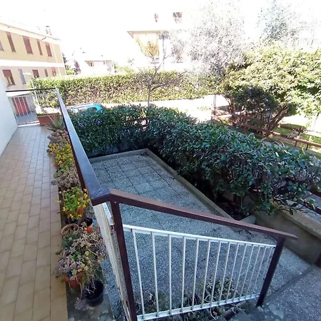 Rondinella