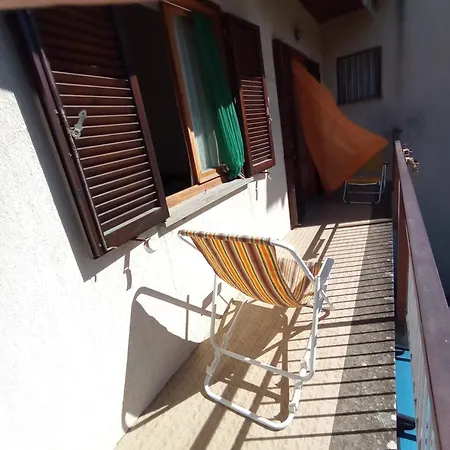 Rondinella Bolsena